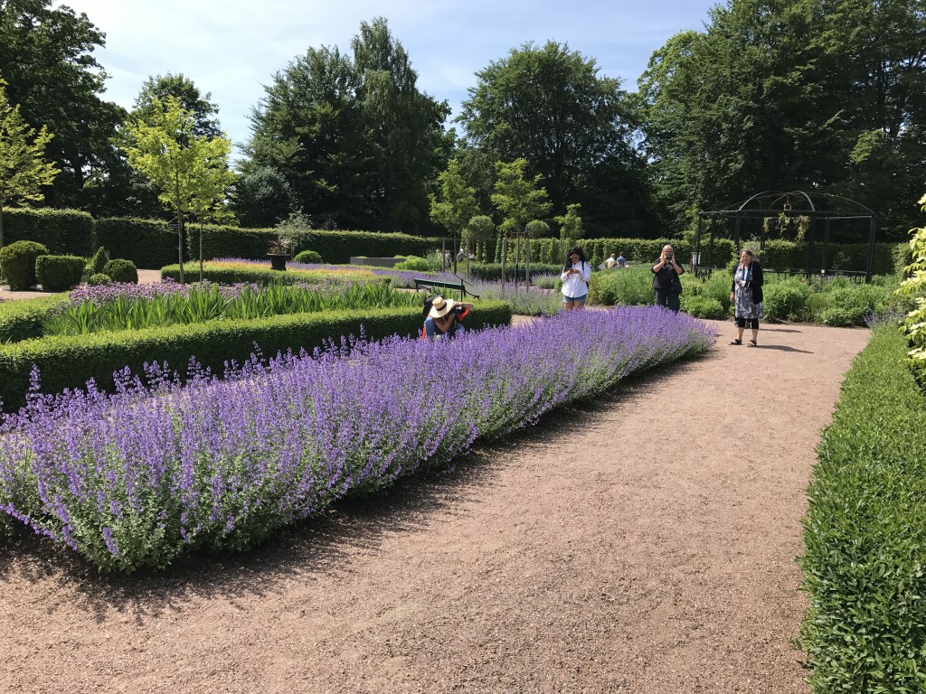 Norska och danska journalister på pressbesök på temat trädgård. Här i Jonsereds Trädgårdar. 